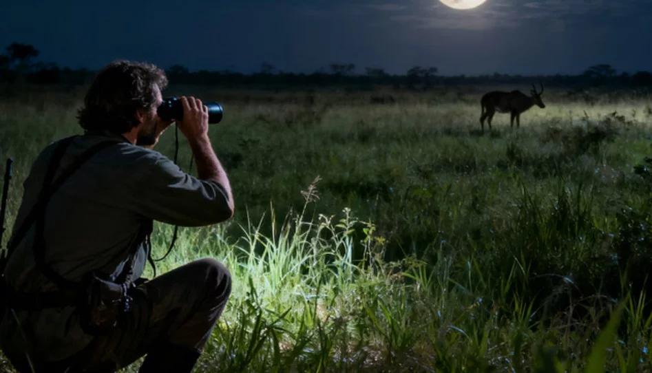 NORA OPTICS Night Vision Devices: Advanced Vision Solutions for Hunting, Security, and Outdoor Exploration NORA OPTICS Night Vision Devices: Advanced Vision Solutions for Hunting, Security, and Outdoor Exploration