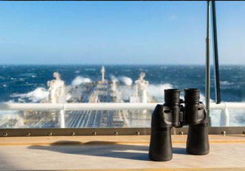 How to Choose the Best Binoculars for Ev