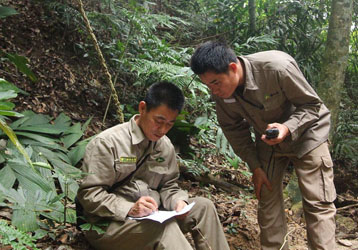 How Nora Optics Laser Rangefinders Support Precision Forest Mapping and Land Management
