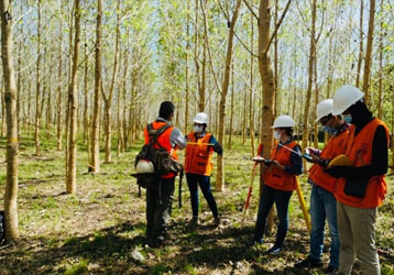 Nora Optics Laser Rangefinders for Timber Cruising: Enhancing Accuracy in Forest Resource Assessment