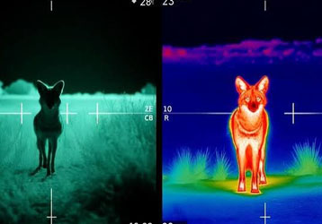 Thermal Scope Field of View Explained: Wide FOV vs Narrow FOV for Hunting and Outdoor Observation